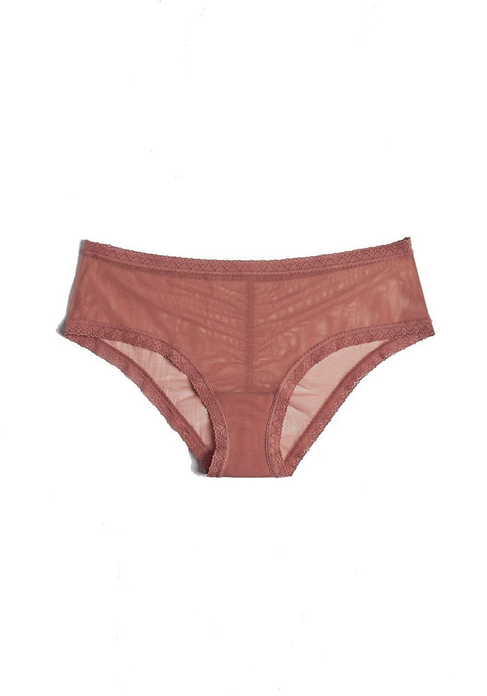 Blush Lingerie The Mesh Lace Trim Hipster Panty - 0259625