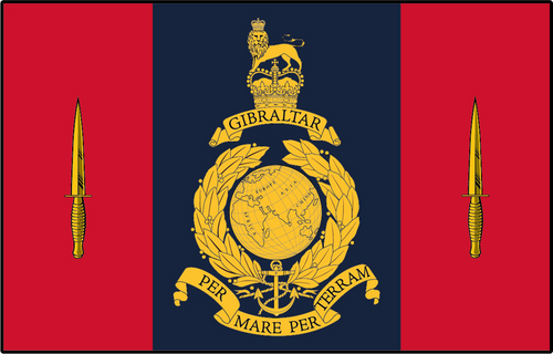 45 Commando Flag