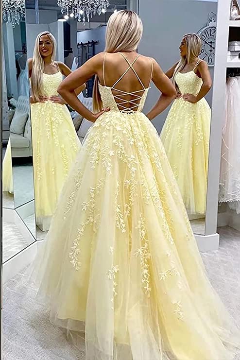 Ball Gown Prom Dress 2023 Spaghetti Straps Boat Neck Crisscross Back Tulle with Appliques