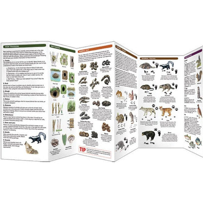 Basic Tracking Guide (Laminated)