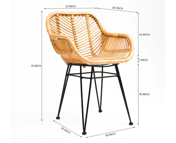 Breeze Rattan Accent Chair – Modern Upholstered Dining Chair for Home & Café Honey Tan , Black