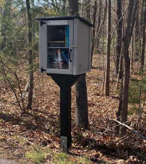 Composite Two Story Gray Kit Little Free Library