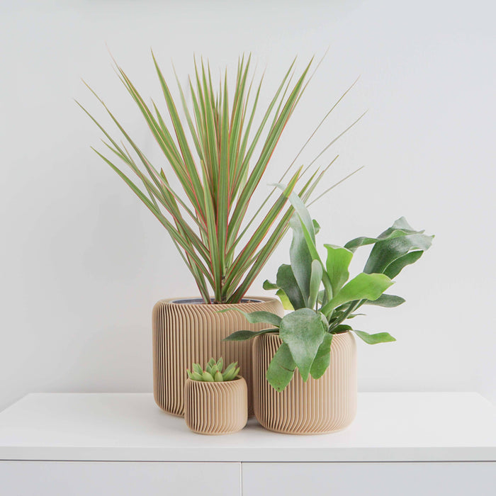 Conifer Homewares - Pine Planter: Midnight Blue / 4"