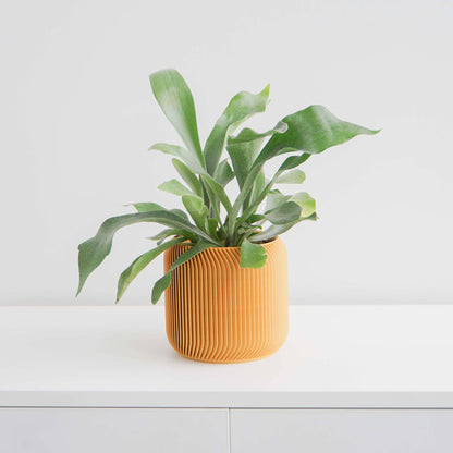 Conifer Homewares - Pine Planter: Midnight Blue / 4"