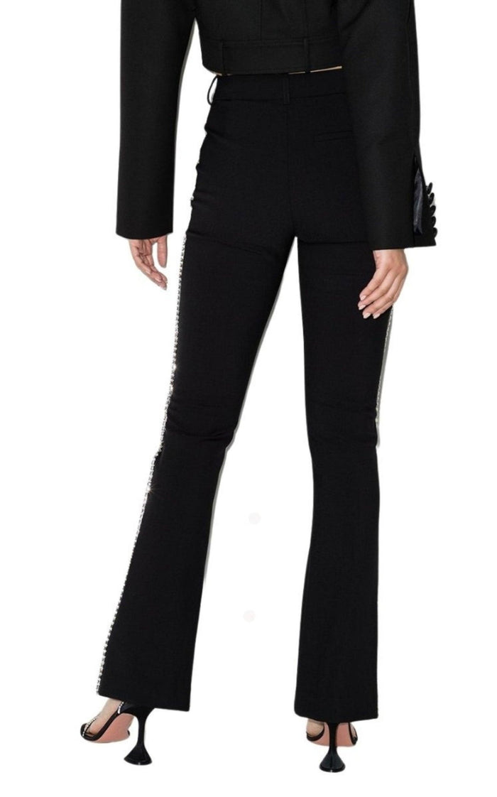 Area Fitted Jeweled Pants - Runway Catalog
