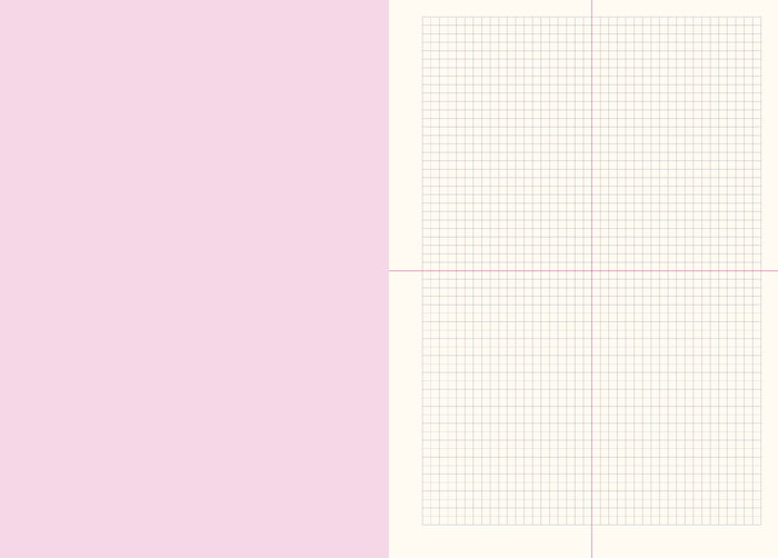 Grids & Guides Pink Notebook