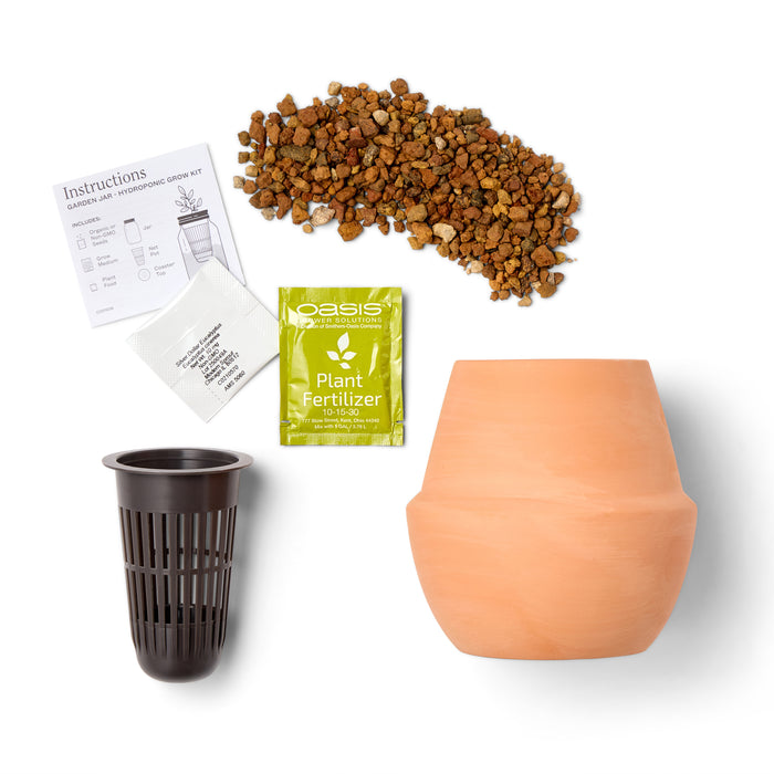 Modern Sprout® Modern Terracotta Grow Kit Bonsai