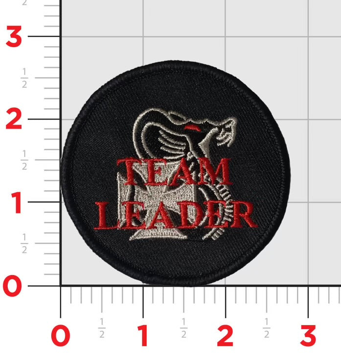 Team Leader