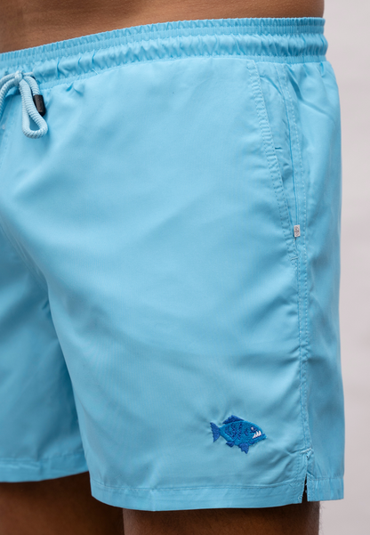 Piranha Plain Blue