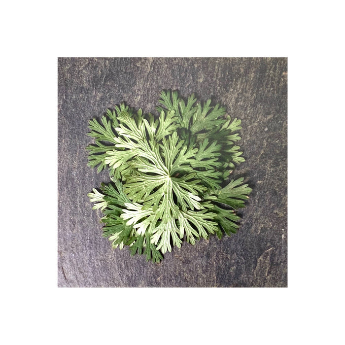 Parsley