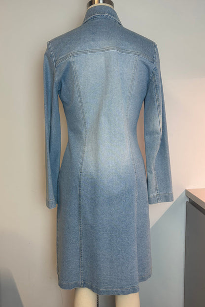 Vintage Zimmermann Dress Coat